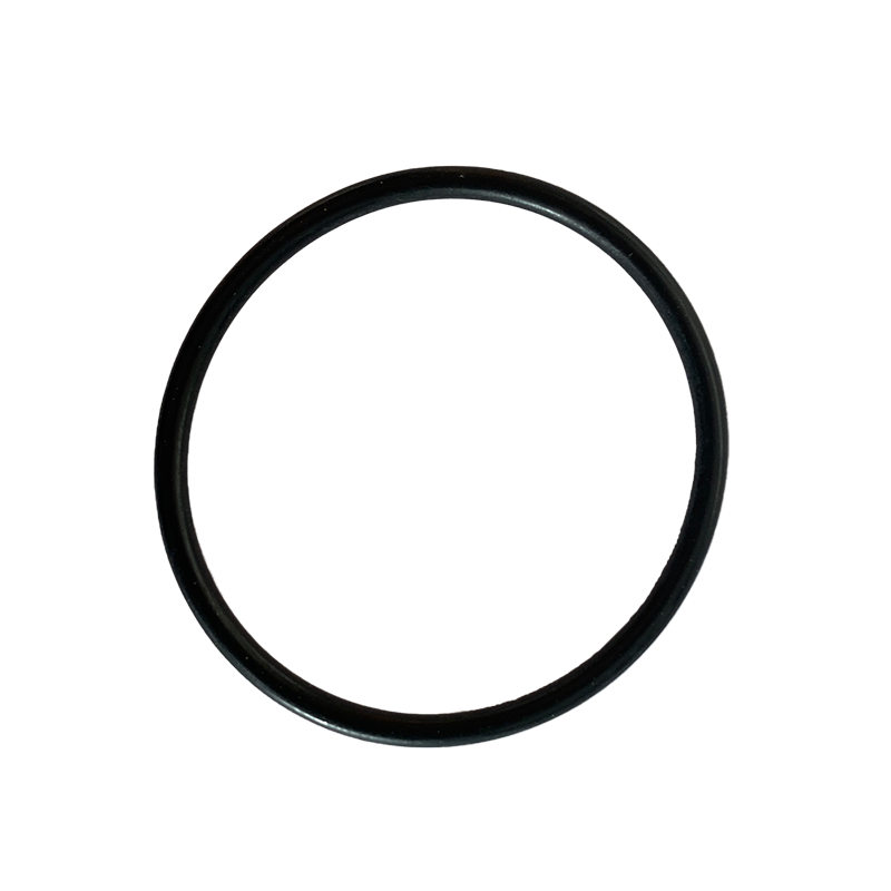 Dichtung schwarz für Durchflusswächter Schwarz